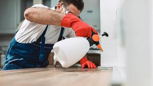 Best Pest Control for Multi-Family Homes  in Falls City, NE